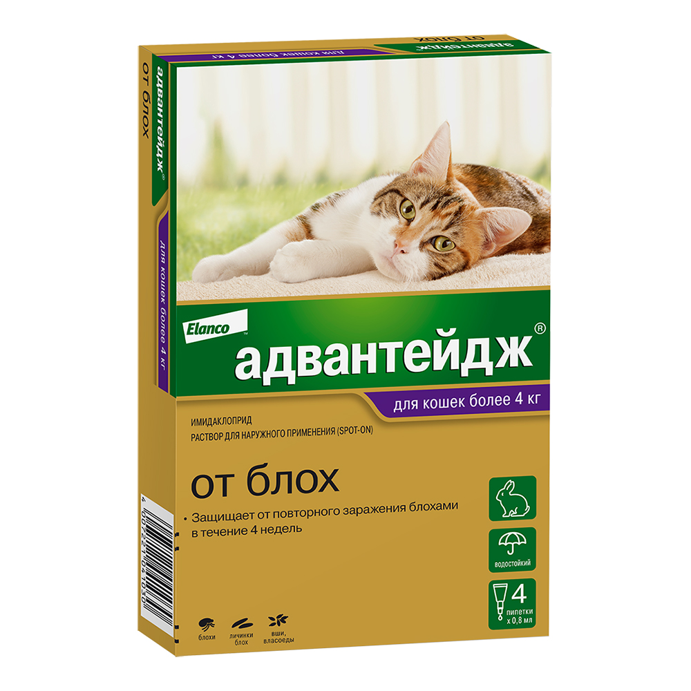 Адвантейдж 80, д/кошек свыше 4кг, 4 пип/уп