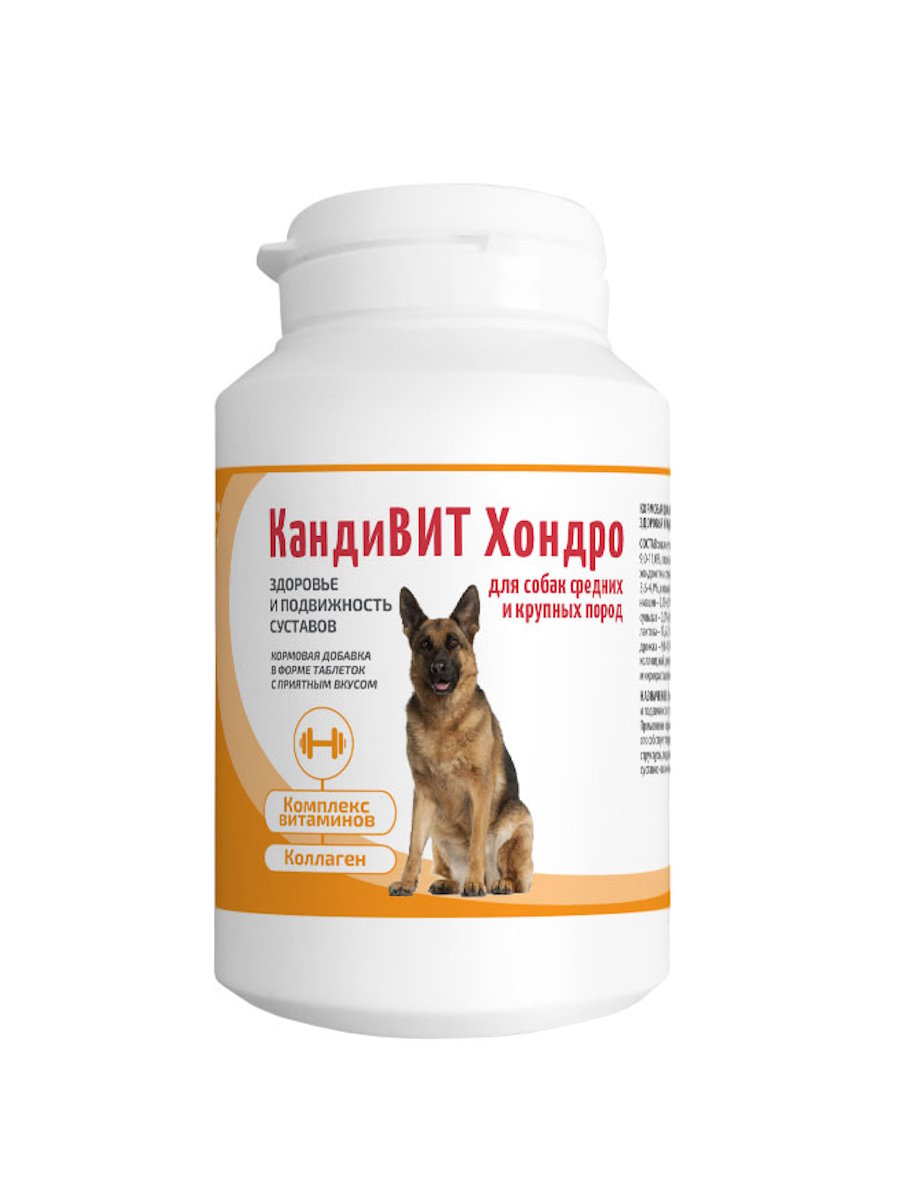 КандиВИТ Хондро (Макси), банка 50 таб. по 2г