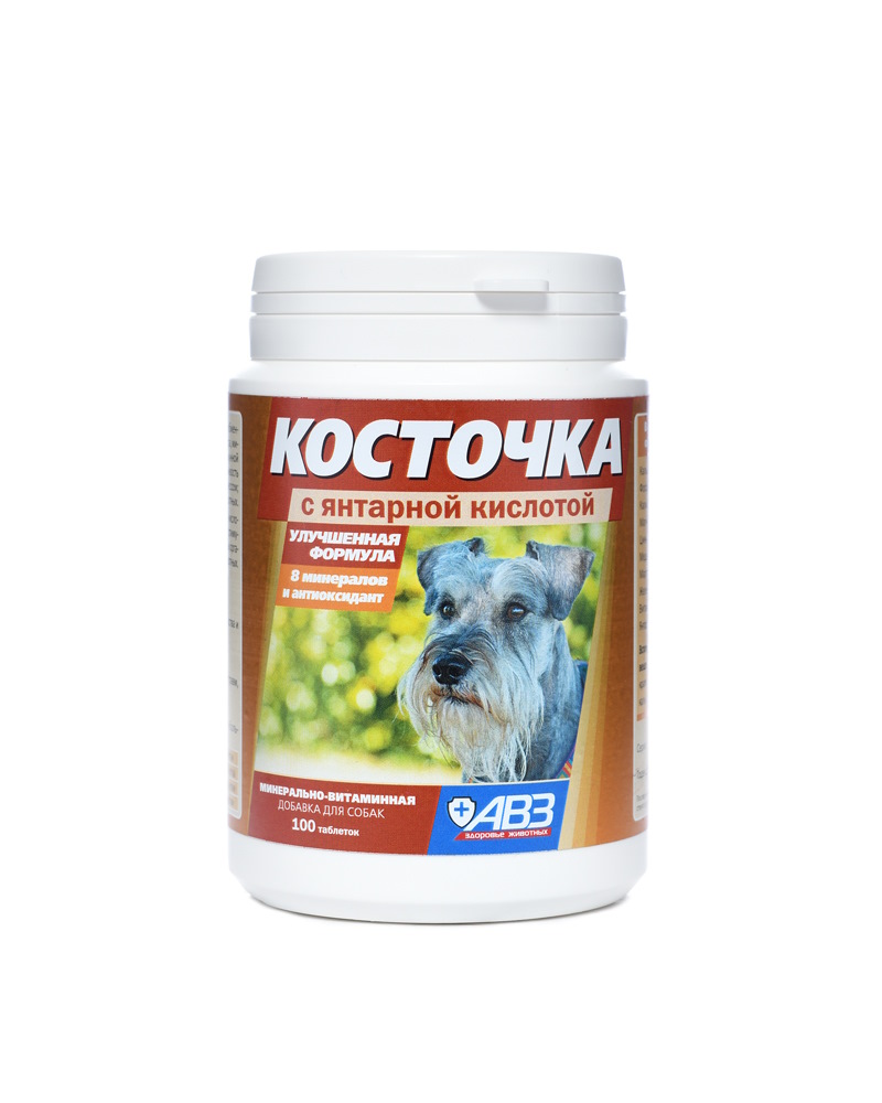 Косточка с янтарной кислотой, 100таб, по 2г.