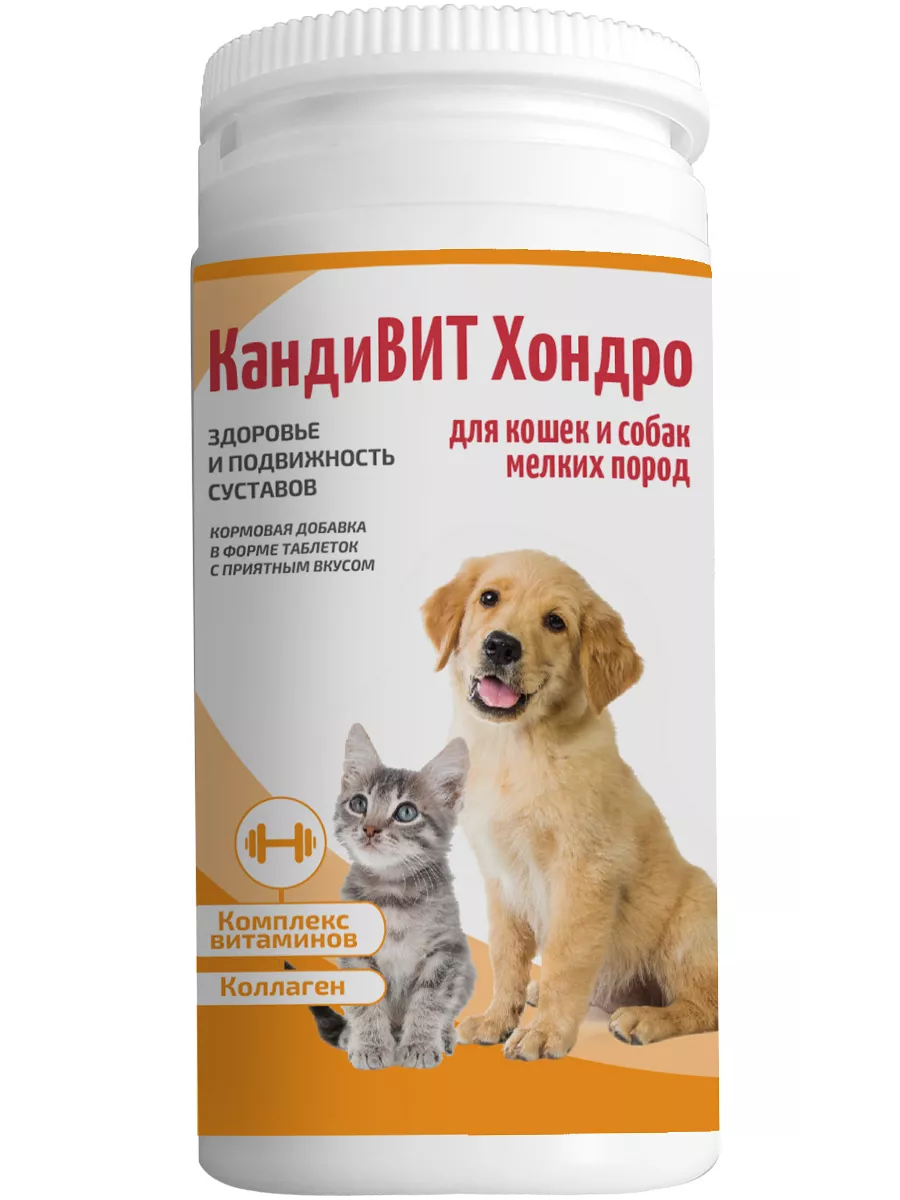 КандиВИТ Хондро, банка 50 таб. по 1г